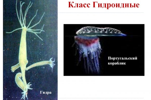 Kraken клирнет зеркало