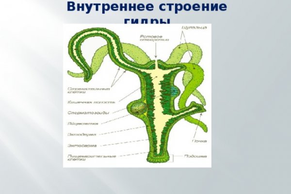 Почему не работает сайт кракен