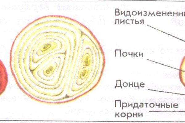 Кракен купить порошок